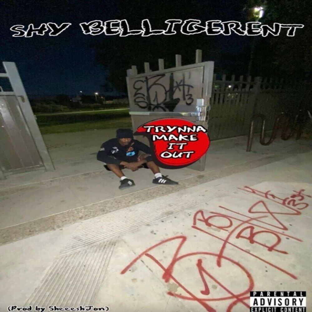 Picture of Trynna Make It Out