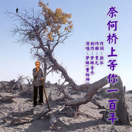 奈何桥上等你一百年