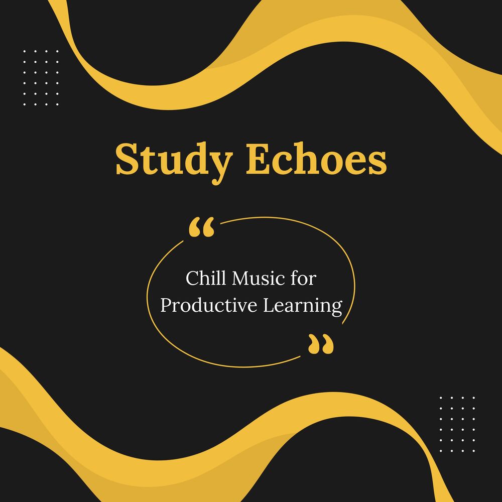 Picture of Study Echoes: Chill Music for Productive Learning