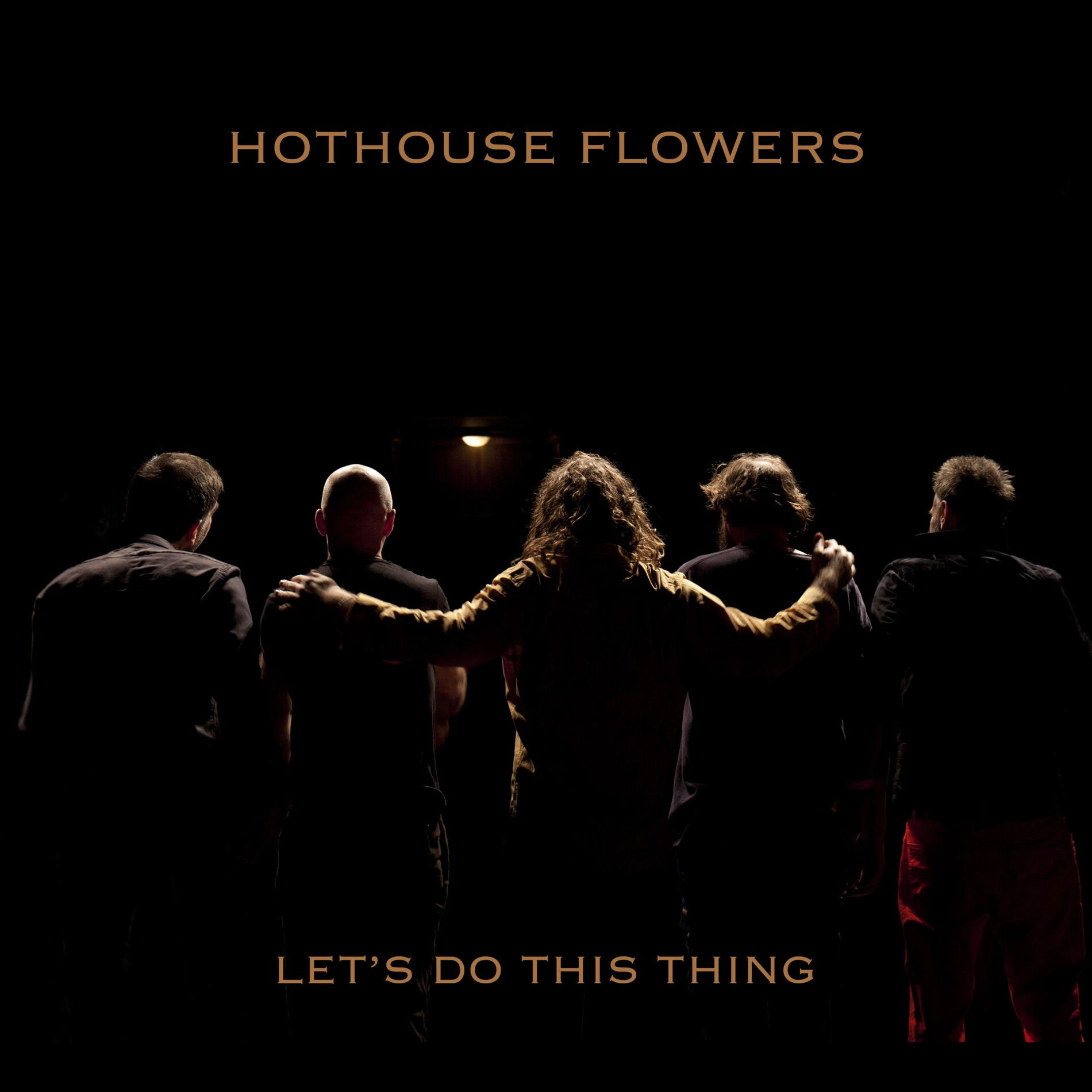 Album cover of Let's Do This Thing