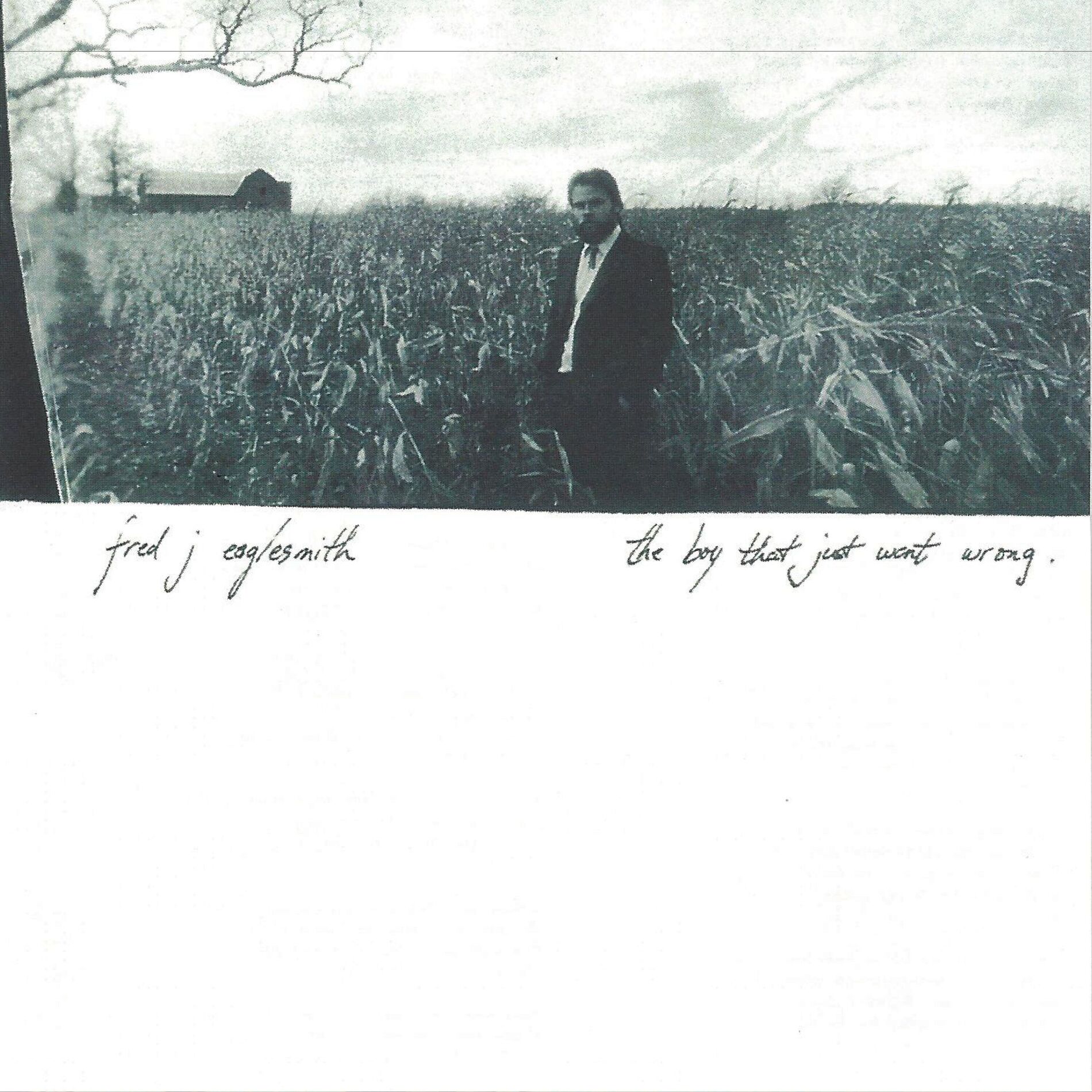 Album cover of The Boy That Just Went Wrong