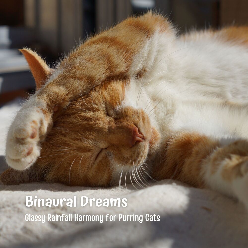 Picture of Binaural Dreams: Glassy Rainfall Harmony for Purring Cats