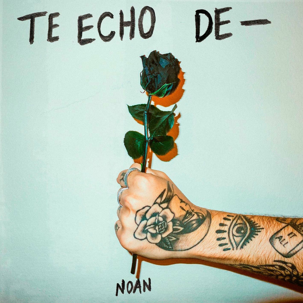 Album cover of Te echo de -