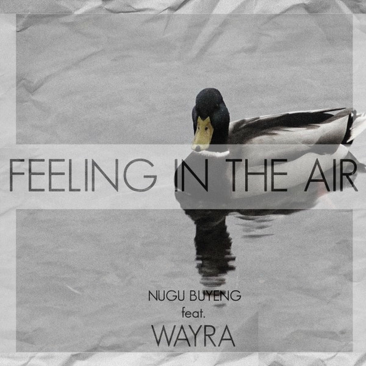 Album cover of Feeling in the Air