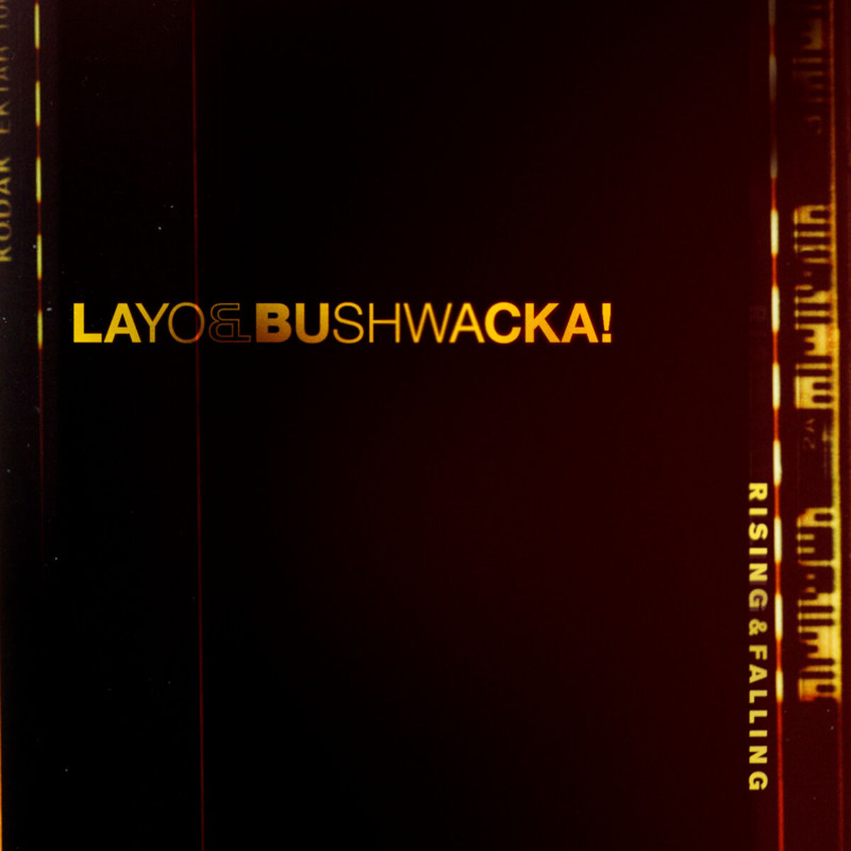 Album cover of Born in the Backwoods