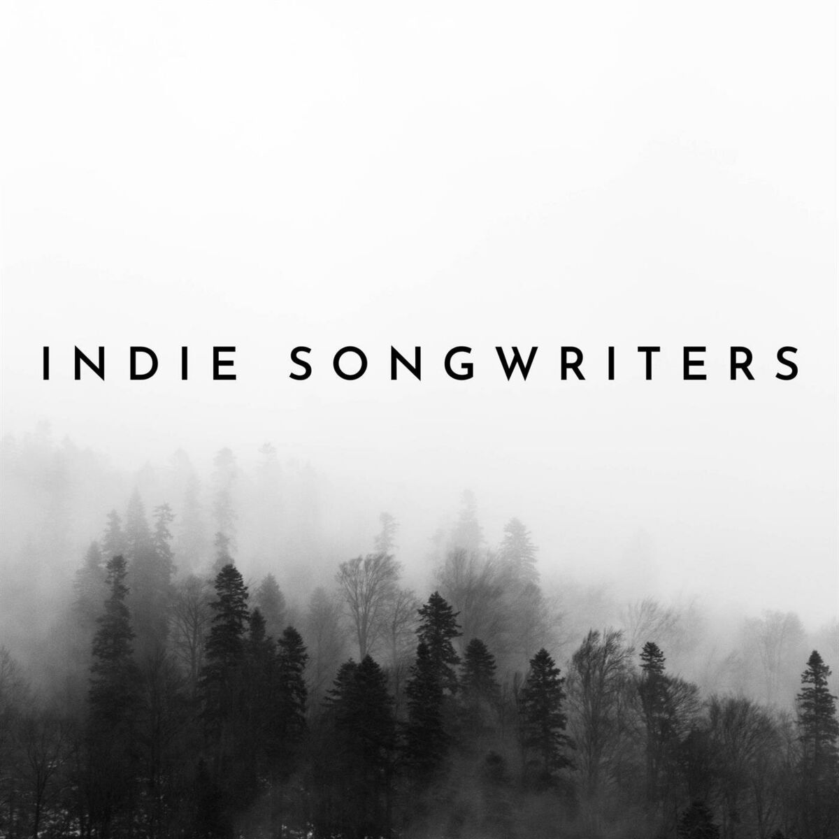 Album cover of Indie Songwriters