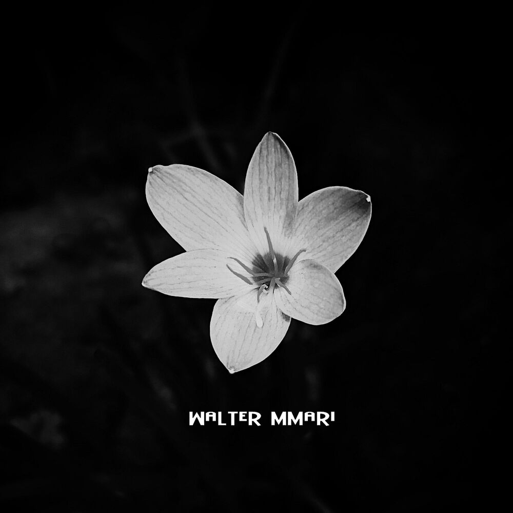 Picture of Rebirth