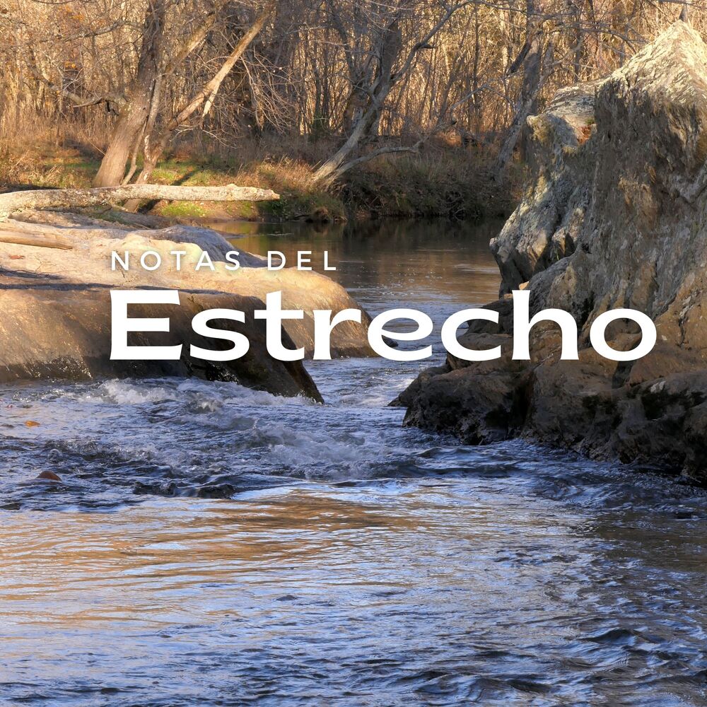 Picture of Notas Del Estrecho