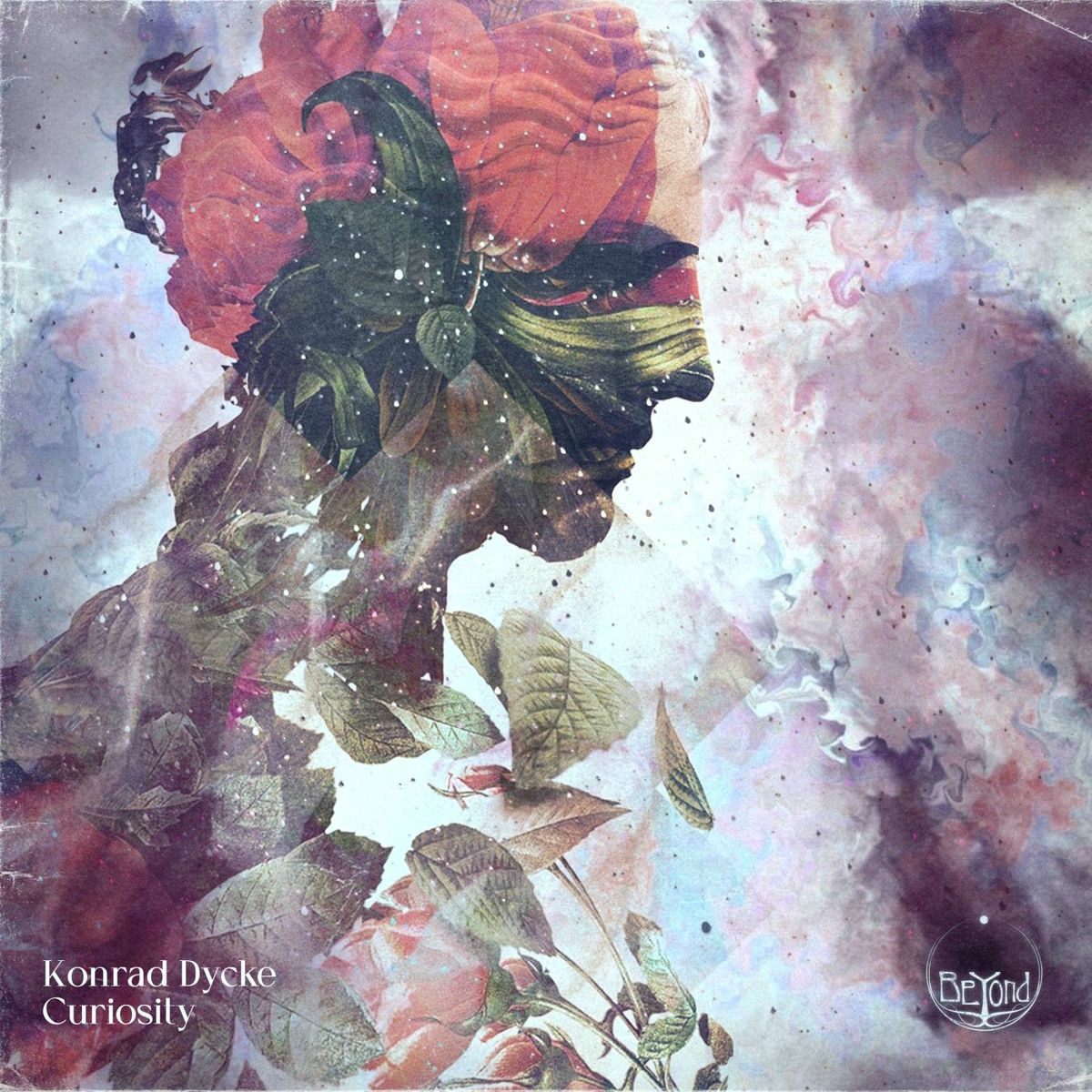 Album cover of Curiosity