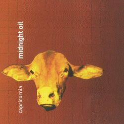 Cover of Capricornia