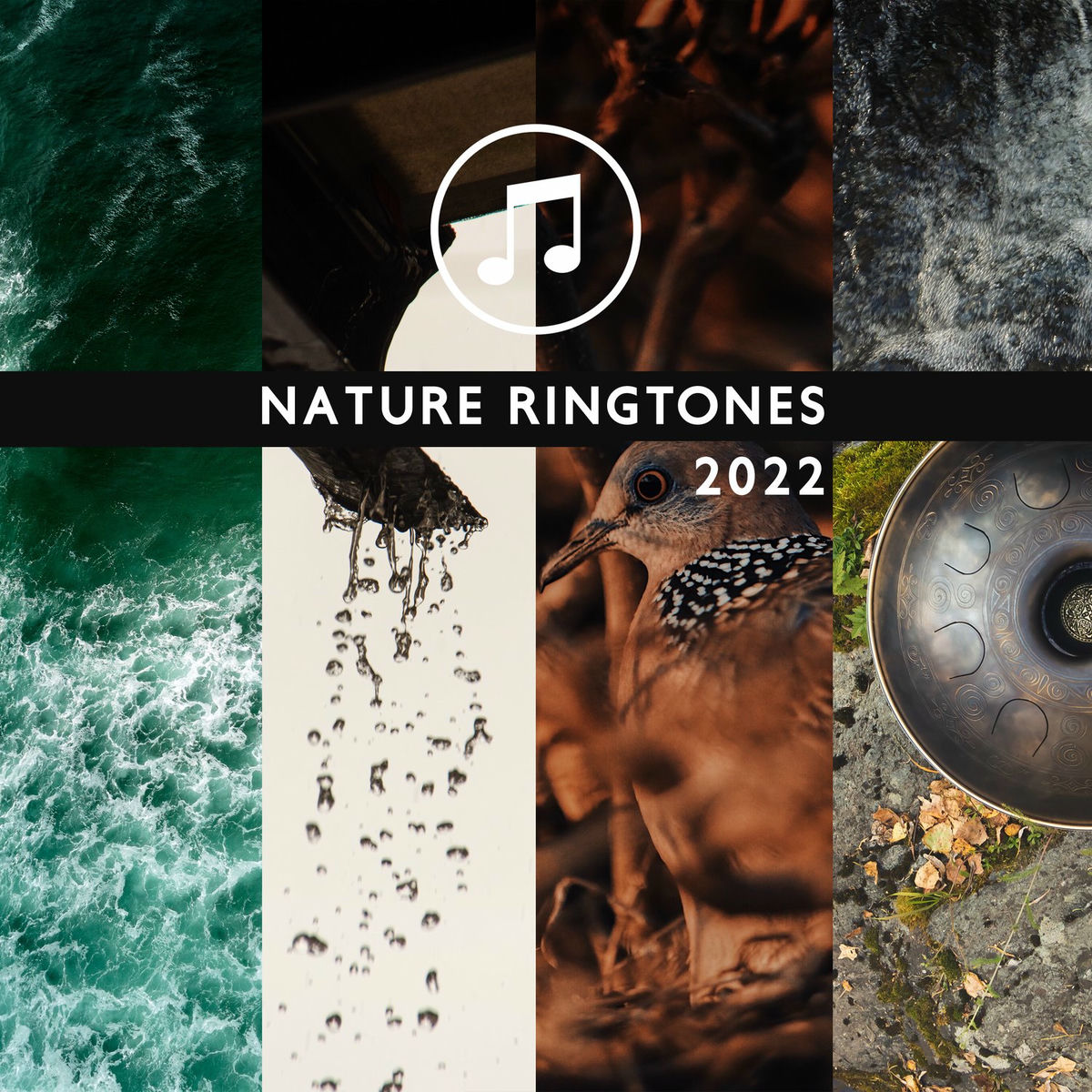 Album cover of Nature Ringtones 2022: Hang Drum & Ocean Waves & Rain Sounds & Thunderstorm & Forest & Stream & Birds