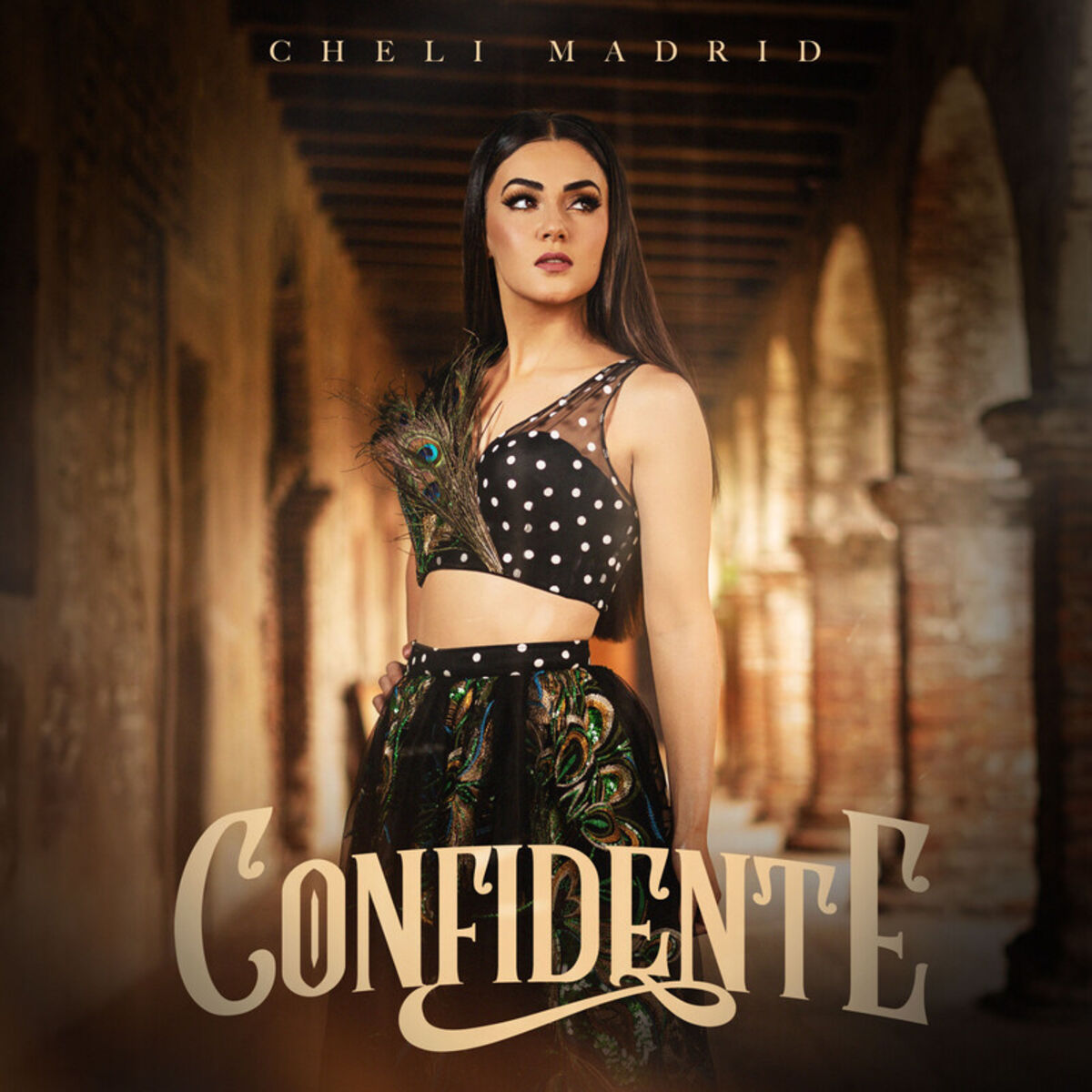 Album cover of Confidente