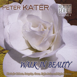 Cover of Walk In Beauty