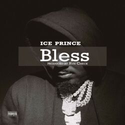 Cover of Bless