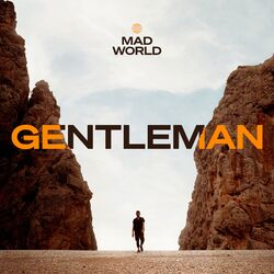 Cover of Mad World