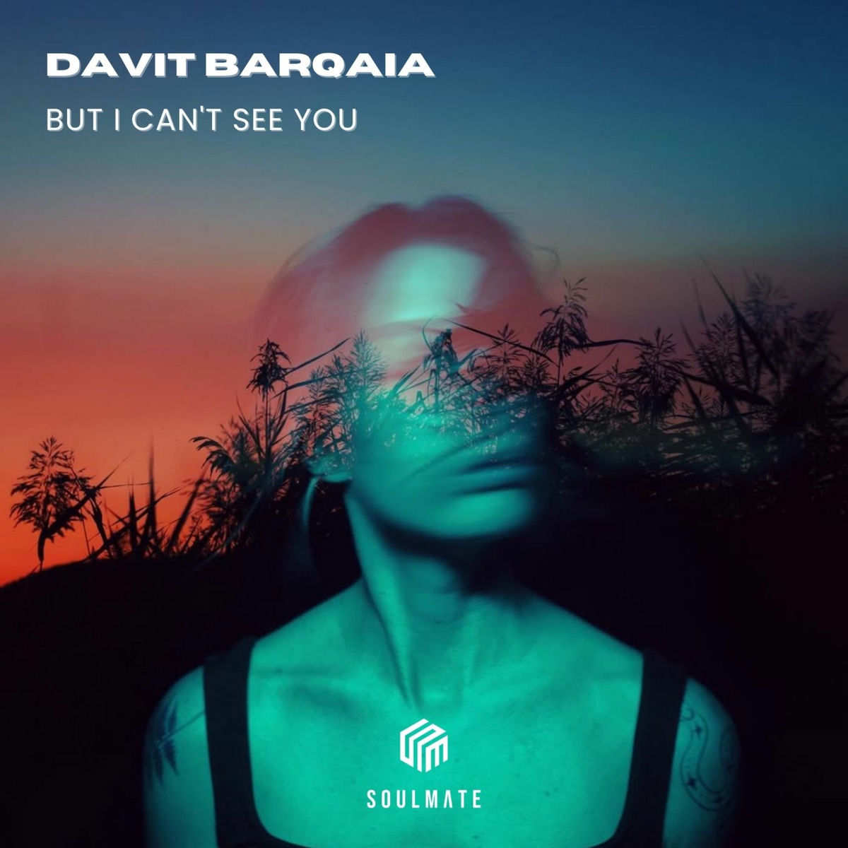 Album cover of But I Can't See You