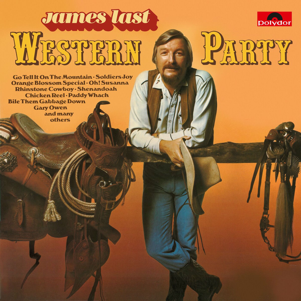 Album cover of Western Party