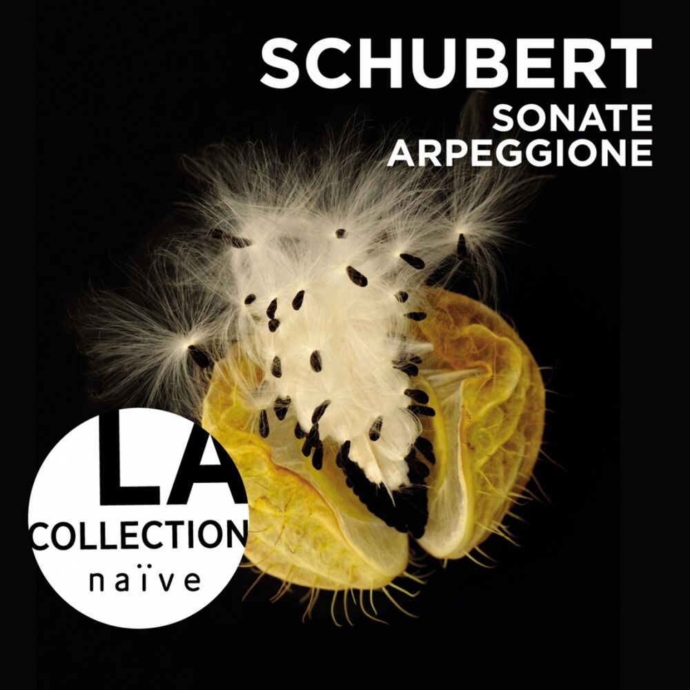 Picture of Schubert: Sonate Arpeggione