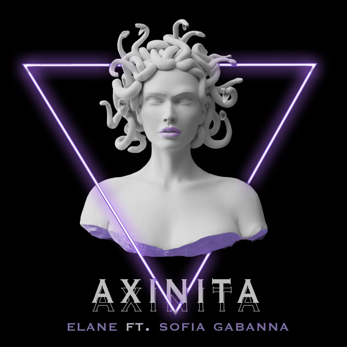 Album cover of Axinita