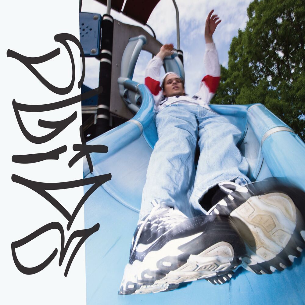 Picture of Slide