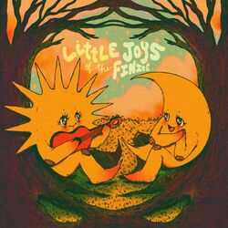 Cover of Little joys of the finite