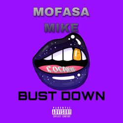 Cover of Bust Down