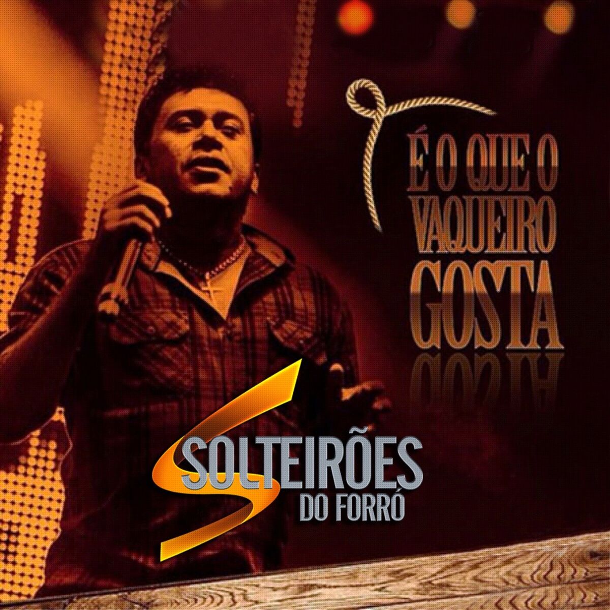Album cover of É o Que o Vaqueiro Gosta