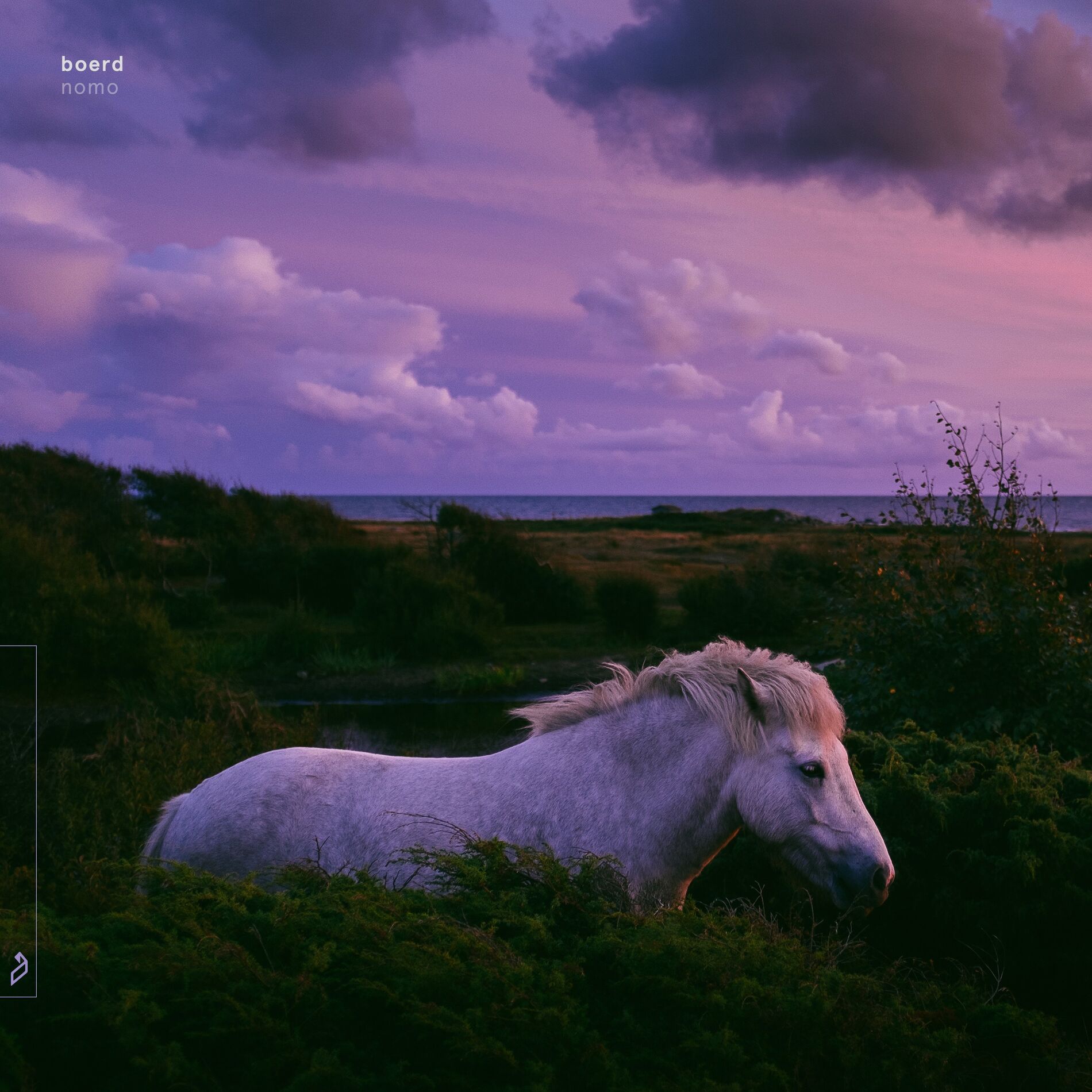 Album cover of Nomo
