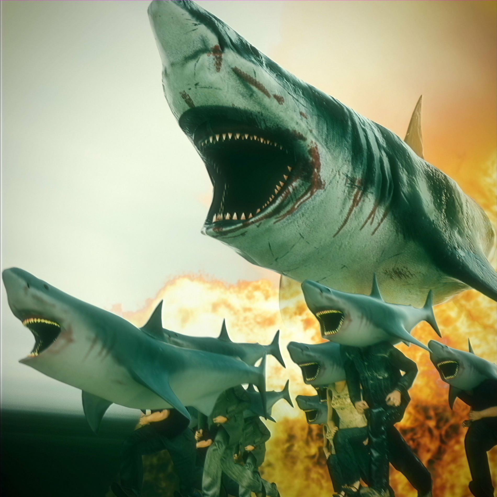 Album cover of T+ VS SHARK