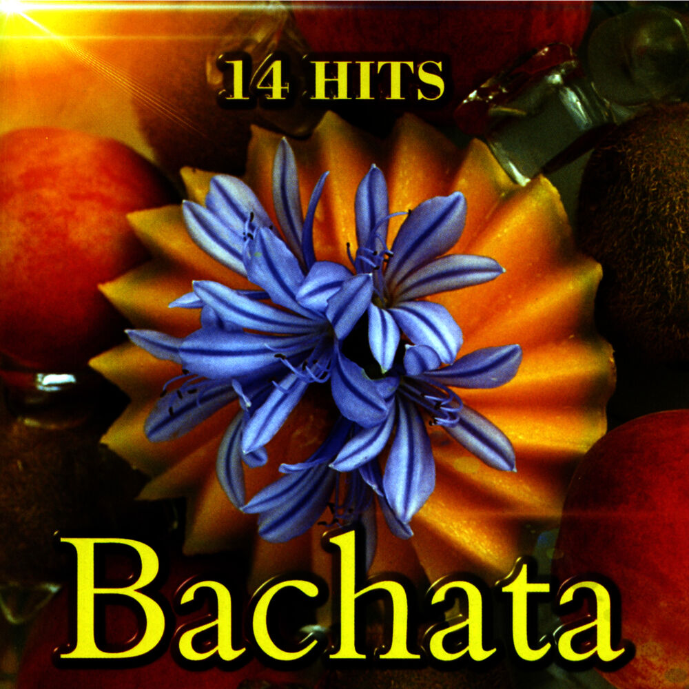 Picture of Bachata
