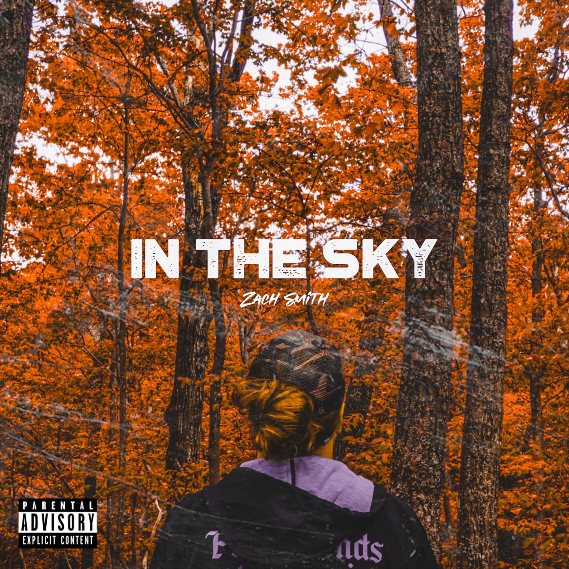 Album cover of In The Sky