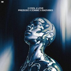Cover of 2 Cool 4 Love