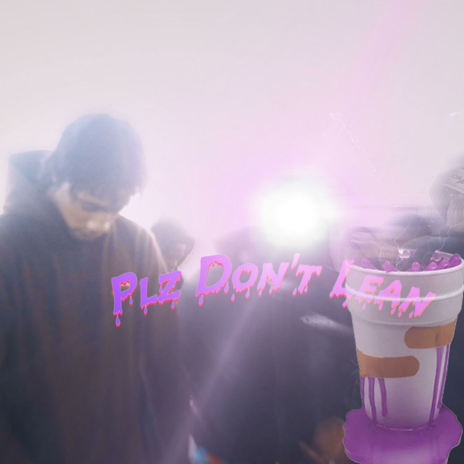 Album cover of Plz Don't Lean