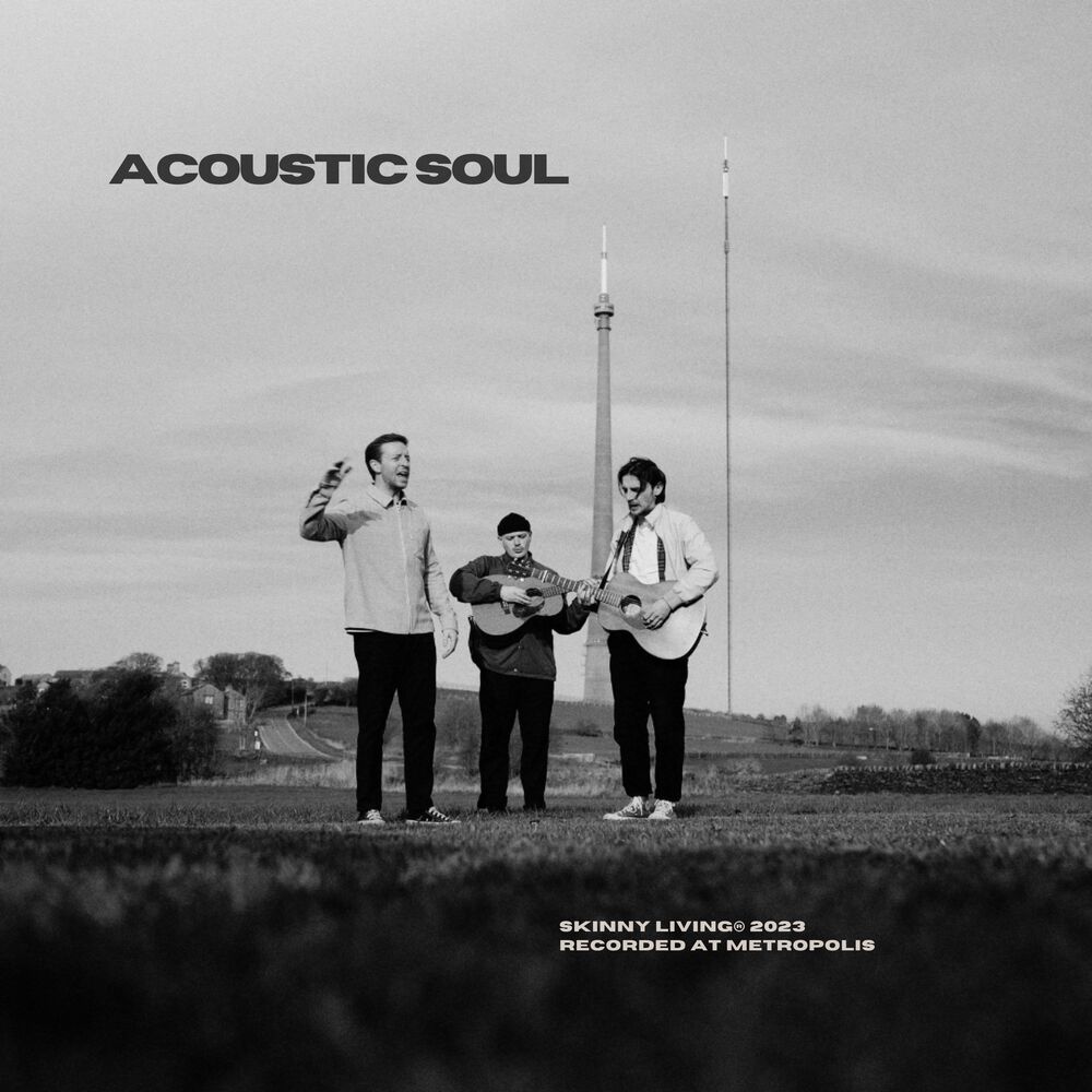 Picture of Acoustic Soul
