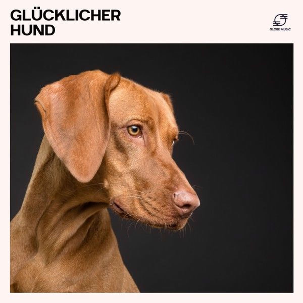 Album cover of Glücklicher Hund: Musik für Hunde zum Entspannen