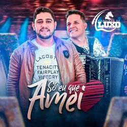 Cover of Só Eu Que Amei