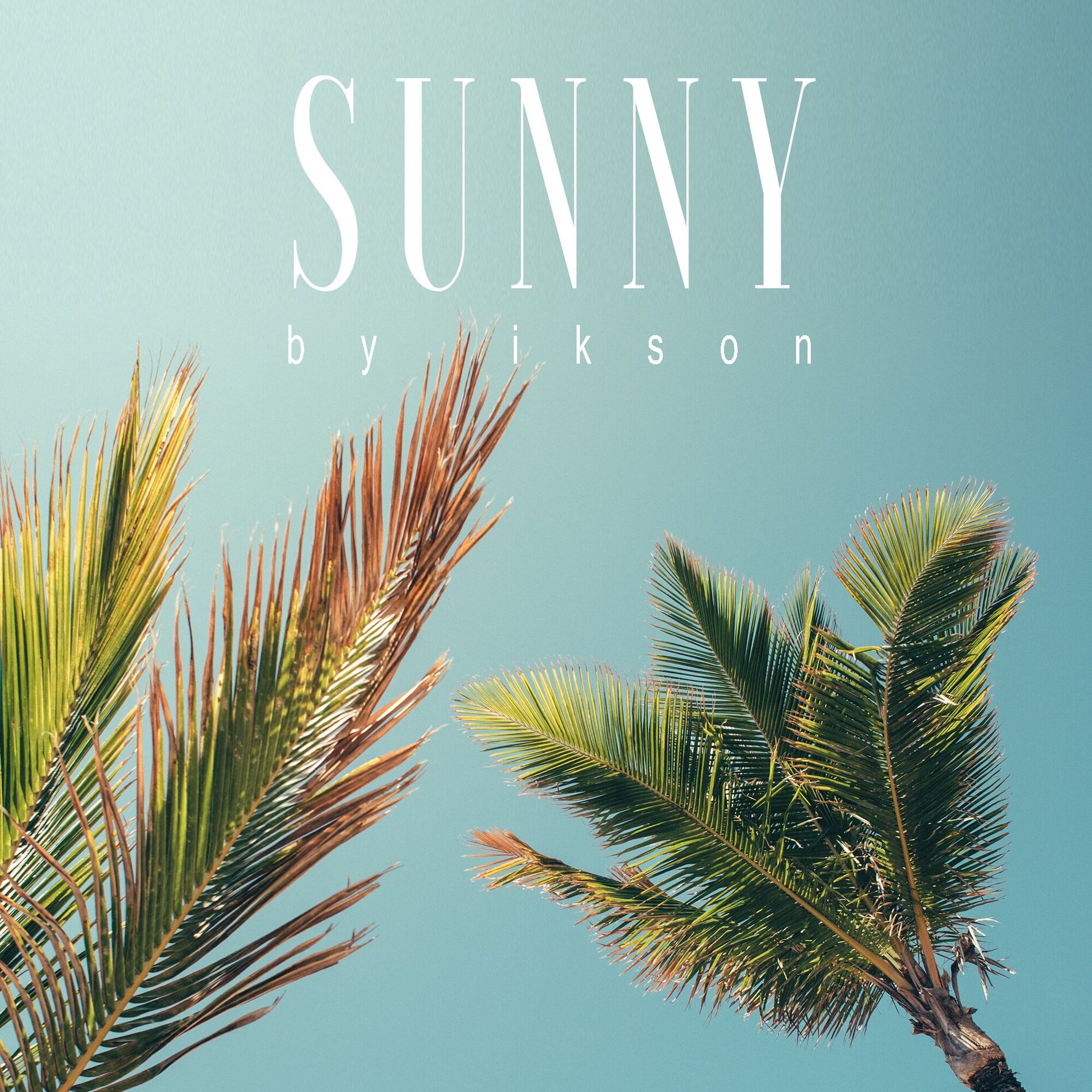 Album cover of Sunny