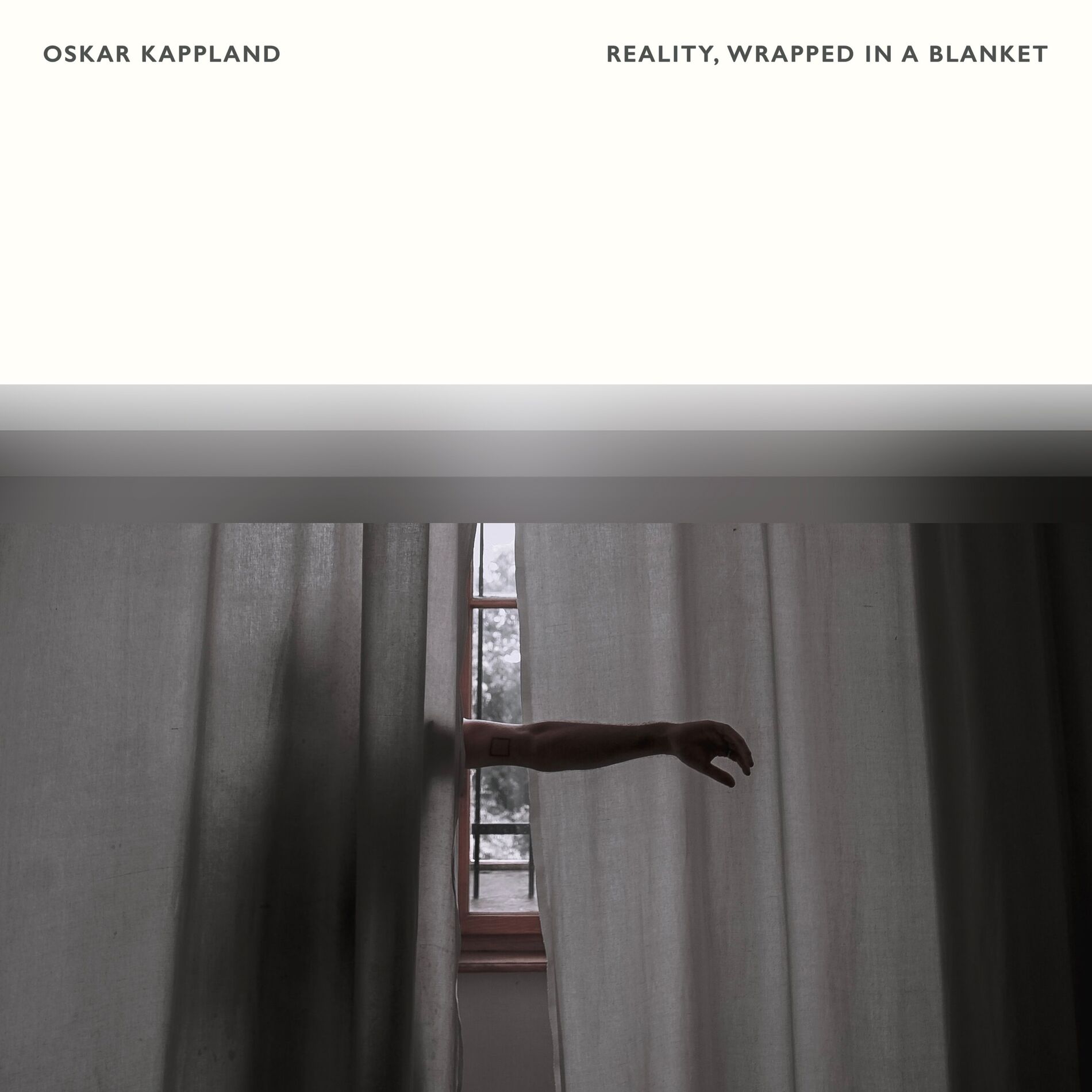 Album cover of Reality, Wrapped In A Blanket