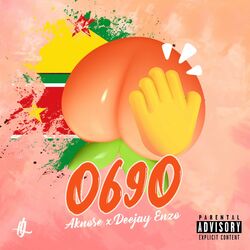 Cover of 0690