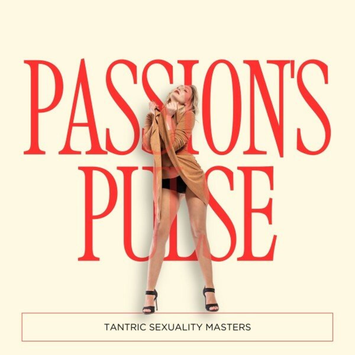 Album cover of Passion's Pulse: Sexy Rhythms