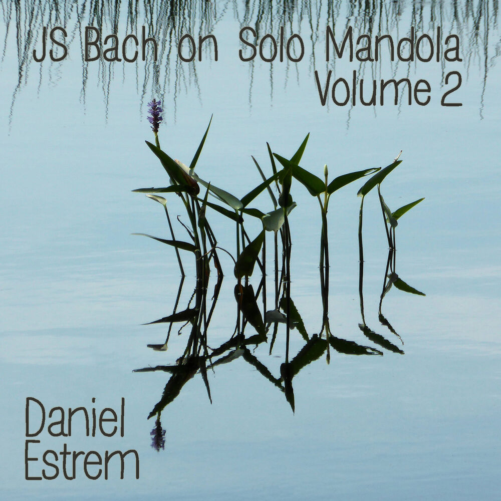 Picture of JS Bach on Solo Mandola, Vol. 2