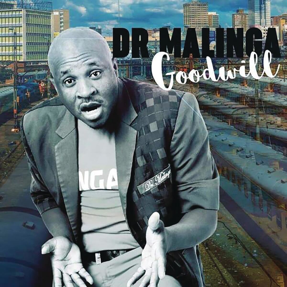 Album cover of Goodwill