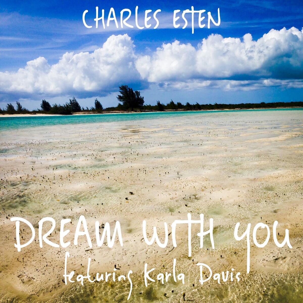 Album cover of Dream With You (feat. Karla Davis)