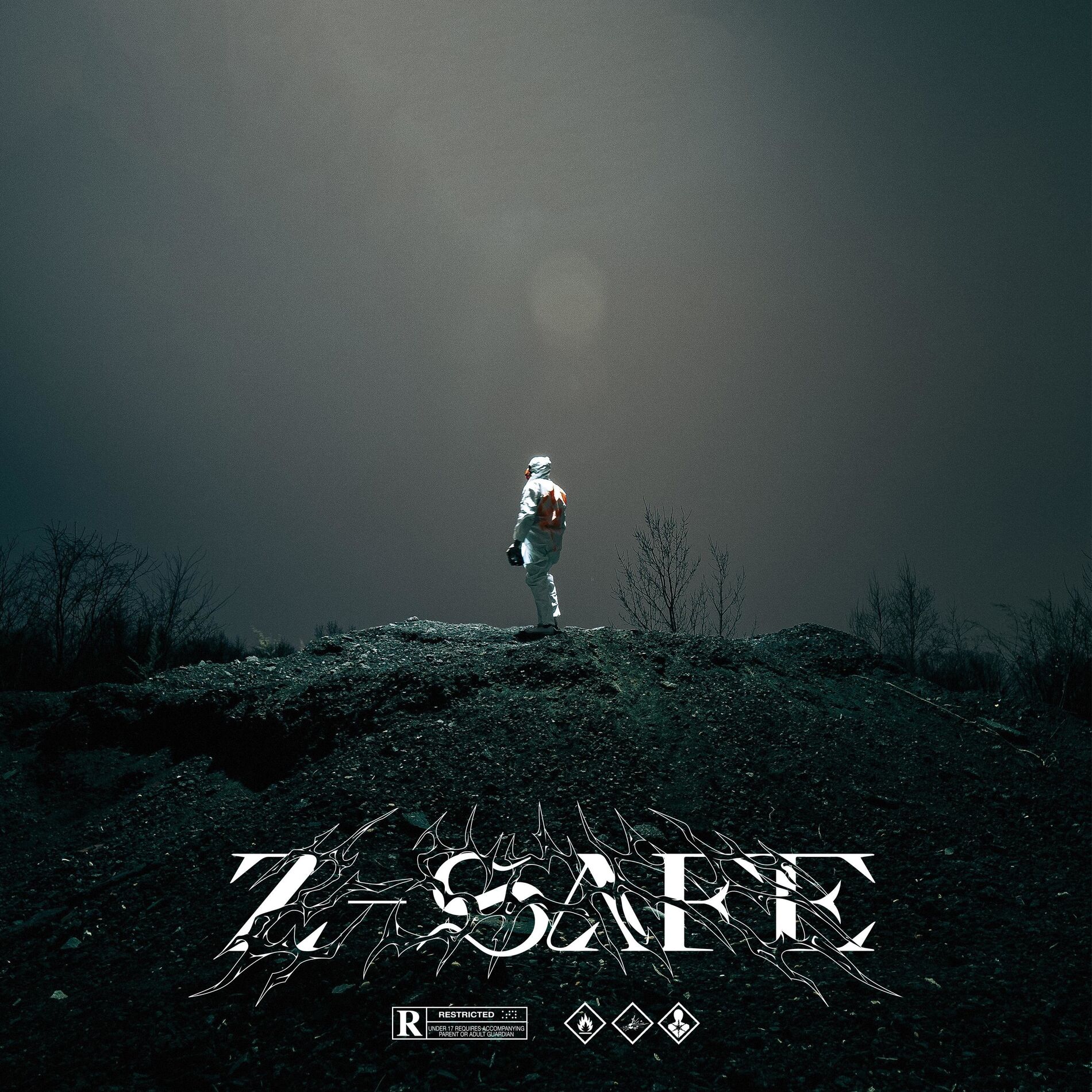 Album cover of Z-SAFE