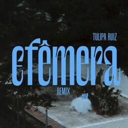 Cover of Efêmera (Remix)