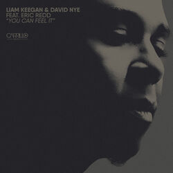 Cover of You Can Feel It