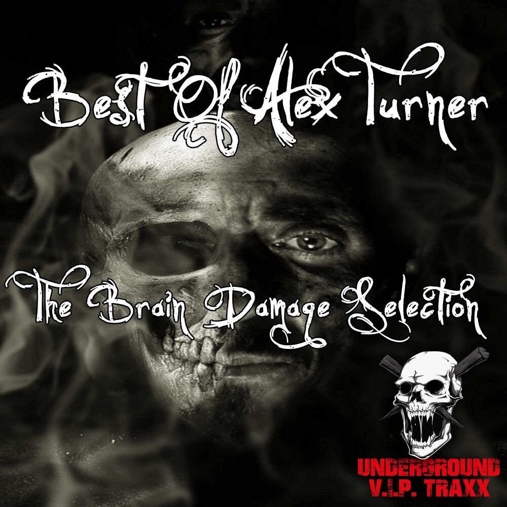 Picture of Best Of Alex Turner: The Brain Damage Selection