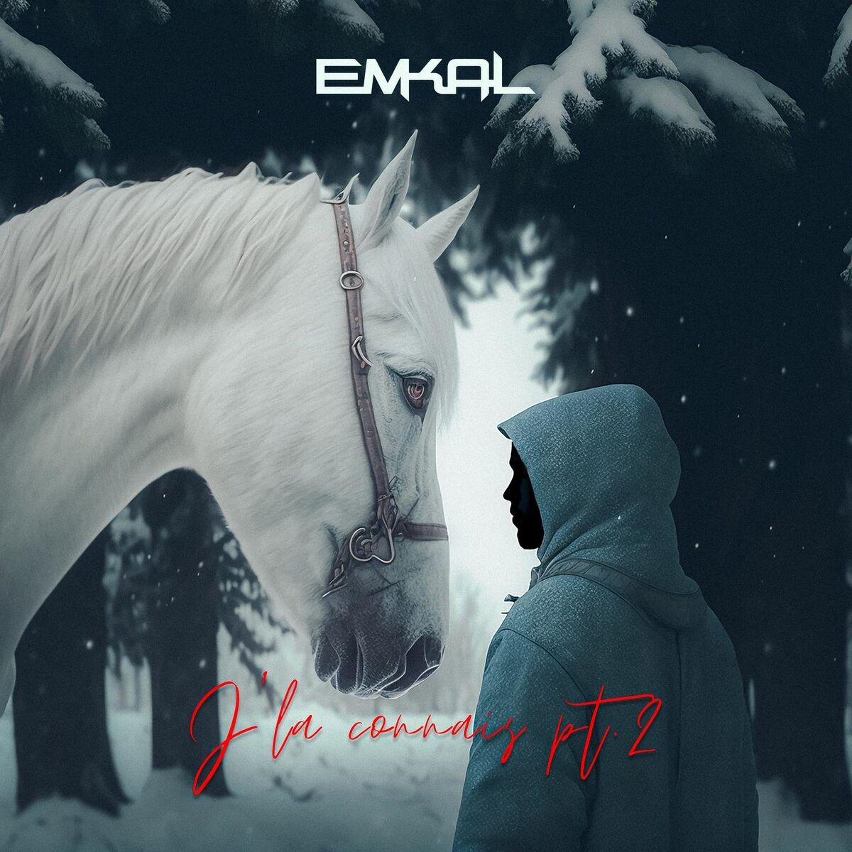 Album cover of J'la connais, Pt. 2