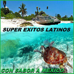 Cover of Con Sabor A Mexico