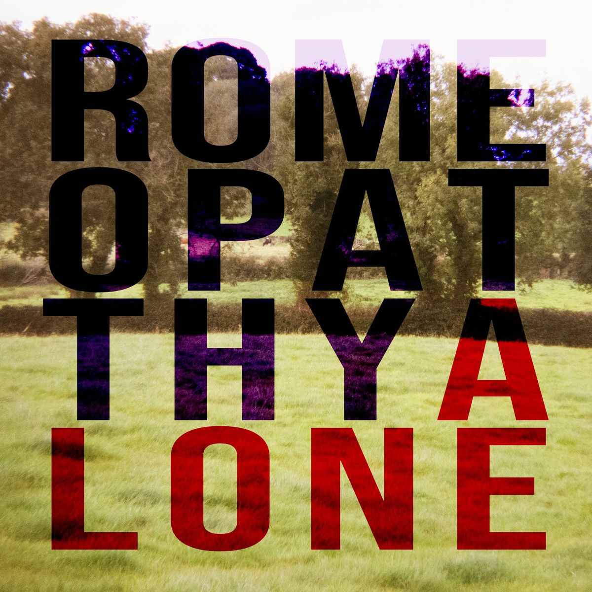 Album cover of Alone